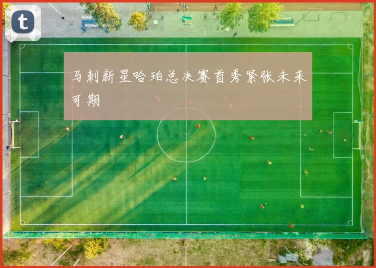 马刺新星哈珀总决赛首秀紧张未来可期
